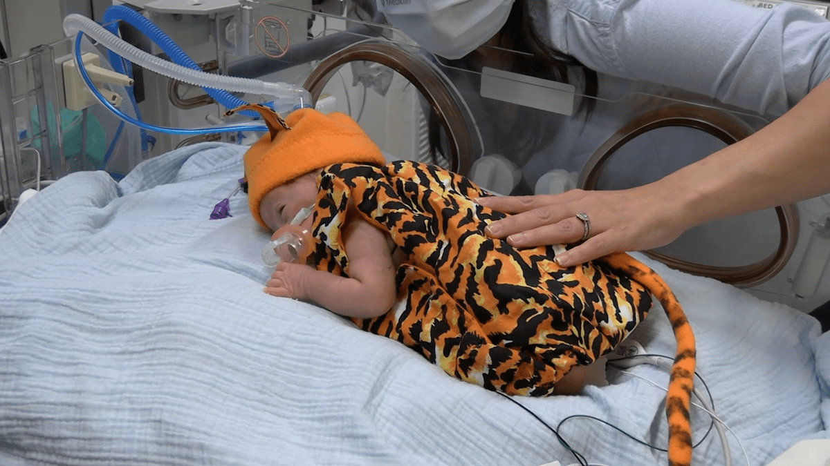 Los Angeles NICU babies celebrate their first Halloween in style – NBC Los Angeles